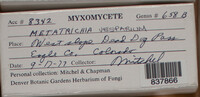 Image Associated With the Occurence